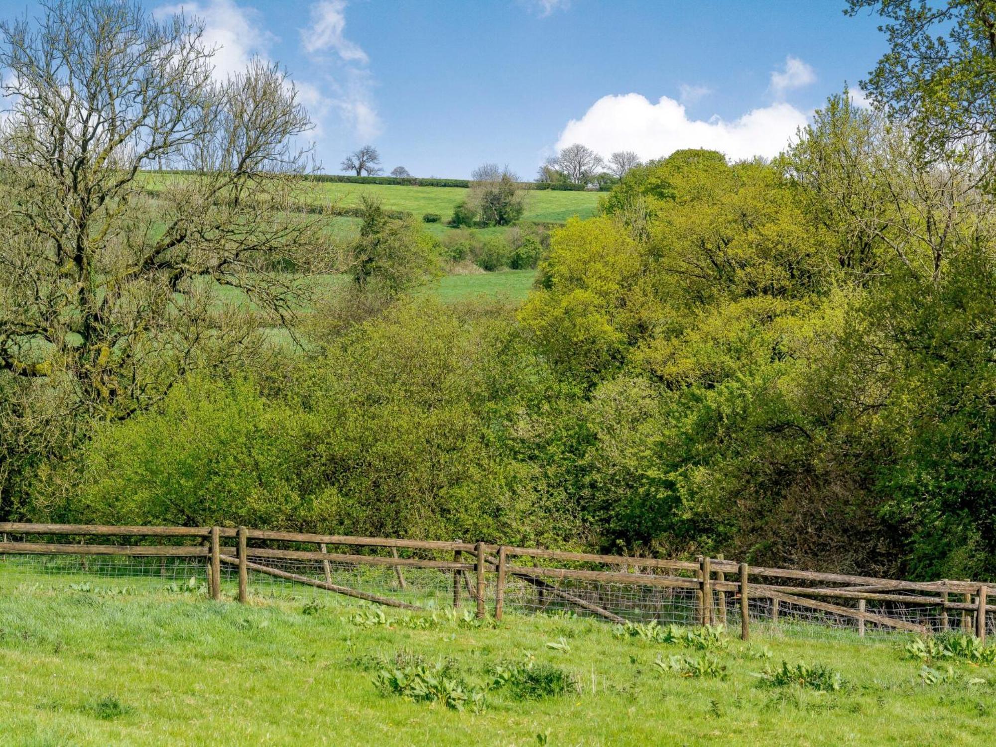 Marigold Villa Shepton Mallet Bagian luar foto