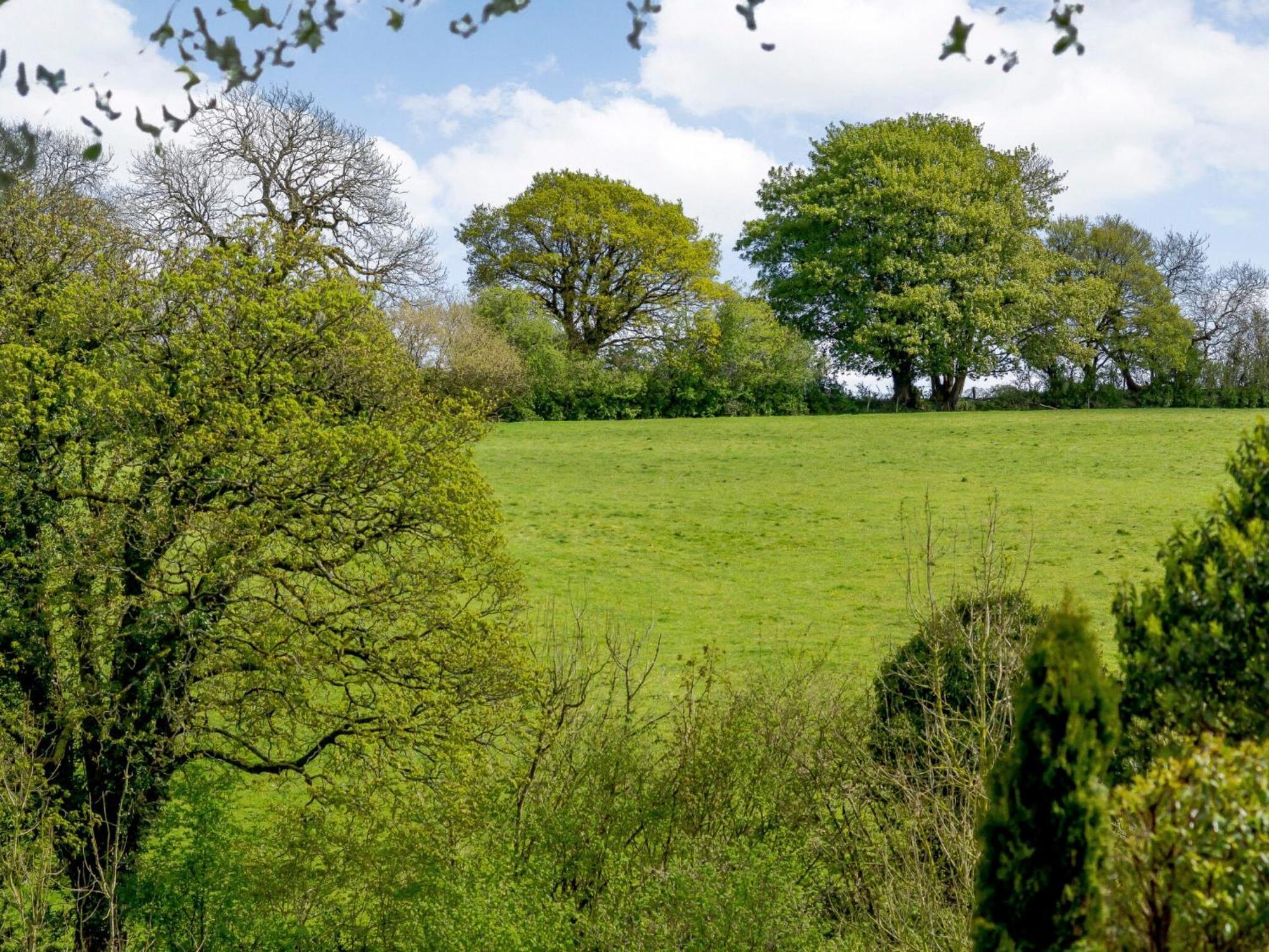 Marigold Villa Shepton Mallet Bagian luar foto